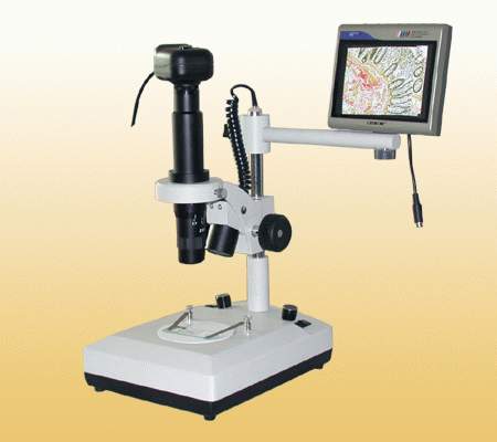 �B�m(x��)׃������ҕ���wҕ�@΢�R