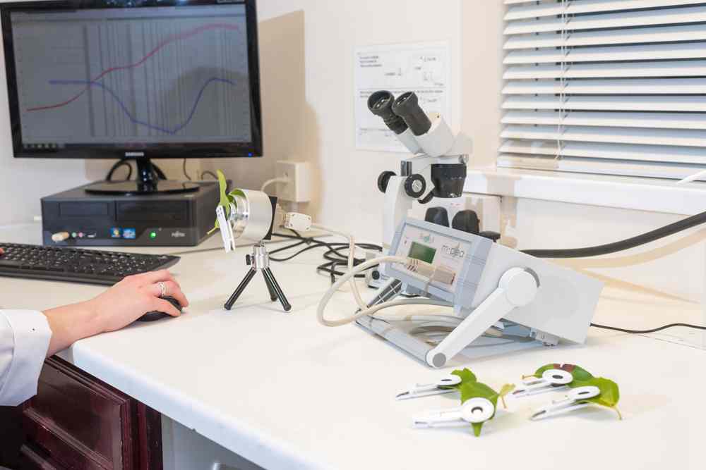 M-PEA-2�๦��ֲ��Ч�ʷ����x