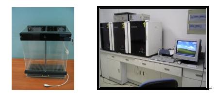 ��С��ͨ�ô����ҕ�l����ϵ�y(t��ng)