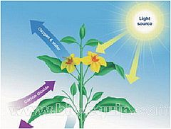 ֲ���������B�m(x��)�O(ji��n)�y��ϵ�y(t��ng)��Q����