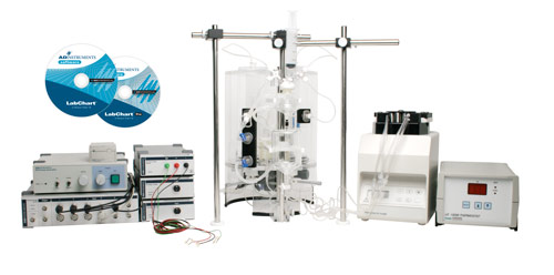 Langendorff�x�w���K����ϵ�y(t��ng)