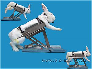 �๦���ù̶���