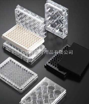 �������B(y��ng)��