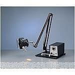 �������g(sh��)��