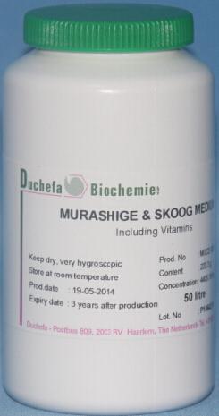 ˮ���S���g�������w