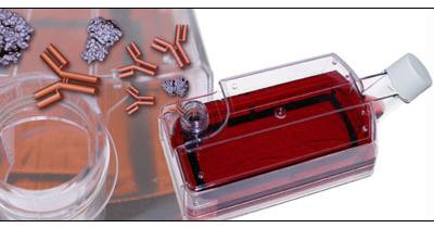 一次性生物反應器:細胞培養(yǎng)和蛋白表達