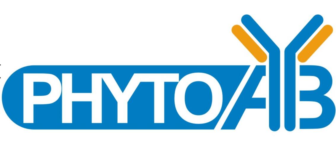 ֲ�ﵰ�׿��w