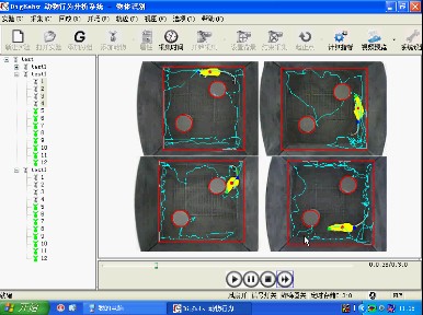 ��С��ͨ�������w�R�eҕ�l����ϵ�y(t��ng)