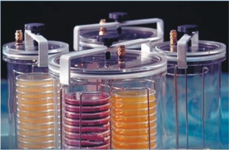 ������(x��)�����B(y��ng)�ޣ��\(ch��ng)�����N���N�����a(ch��n)��