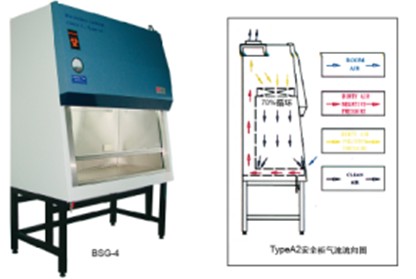 ���ﰲȫ��