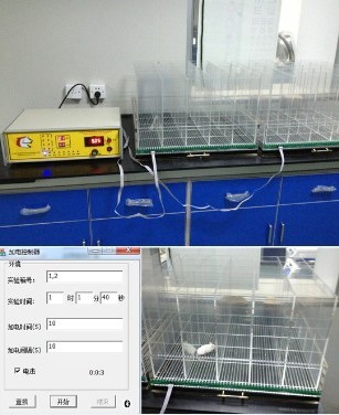 ��С��ͨ�����^늓���(���푪(y��ng)�����)ϵ�y(t��ng)