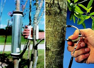 CRֲ���o���O(ji��n)�yϵ�y(t��ng)