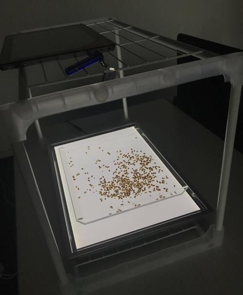 萬(wàn)深智能種子計(jì)數(shù)儀種子自動(dòng)數(shù)粒儀考種儀