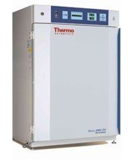 Thermo������̼���B(y��ng)���ۺ�S������