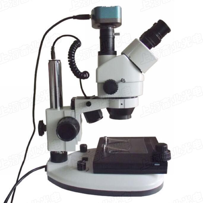 ��(sh��)�a�B�m(x��)׃���wҕ�@΢�RPXS7-T