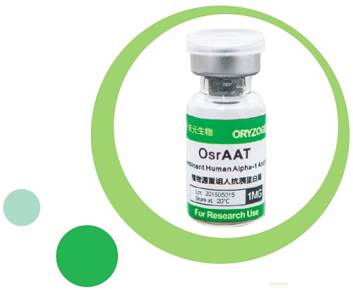 植物源 重組 人α1-抗胰蛋白