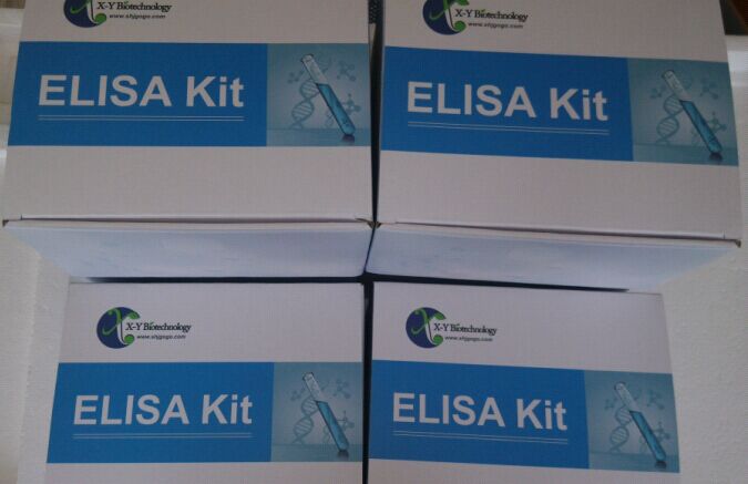 Flt3��FMS���Ұ��ἤø3�z�yԇ����