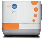 �๦��ȫ�Ԅӵ����|(zh��)ӡ�E��������ϵ�y(t��ng)