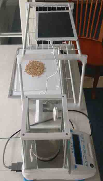 萬(wàn)深SC-H3自動(dòng)考種數(shù)粒儀及千粒重儀