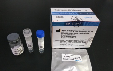 ���͹ڠ������z�yԇ����(����)