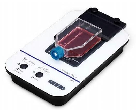 �W�ְ�˹��(x��)�����B(y��ng)�O(ji��n)��ϵ�y(t��ng)Provi CM20