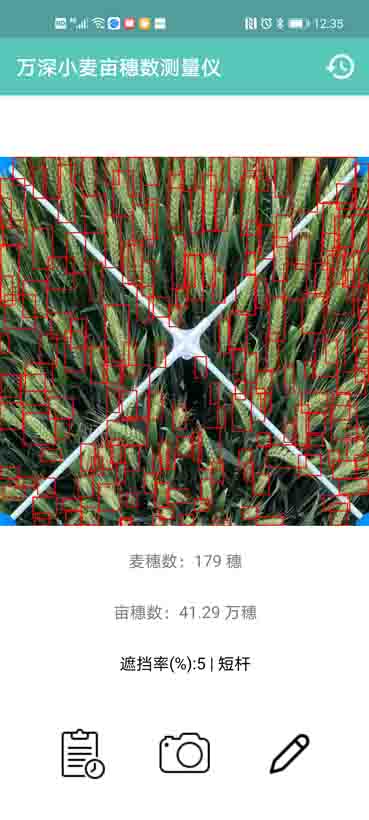 SC-MS增強型Ai智能小麥畝穗數(shù)測量分析儀