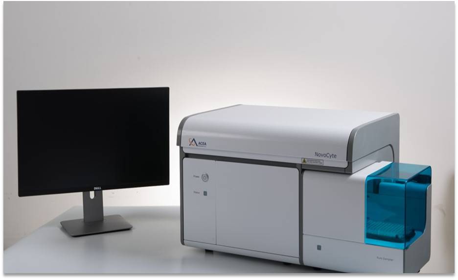 ��ʽ��(x��)���x