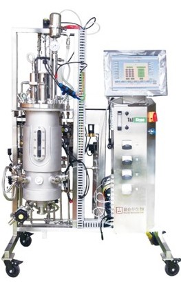 �|(zh��)�����B(y��ng)����(y��ng)��