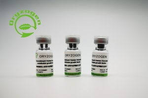 植物源重組人血管內(nèi)皮生長(zhǎng)因子OsrhVEGF