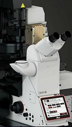 �������ɢ���@΢�R STELLARIS CRS