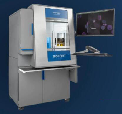 Bigfoot ȫ���V��������ʽ�������x�x