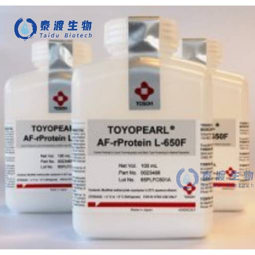 �|������ TOYOPEARL Protein L�H�͌�������