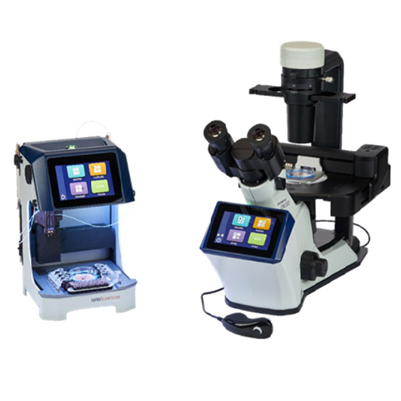 �μ�����ҕ�����x���B(y��ng)ϵ�y(t��ng)��isoCell