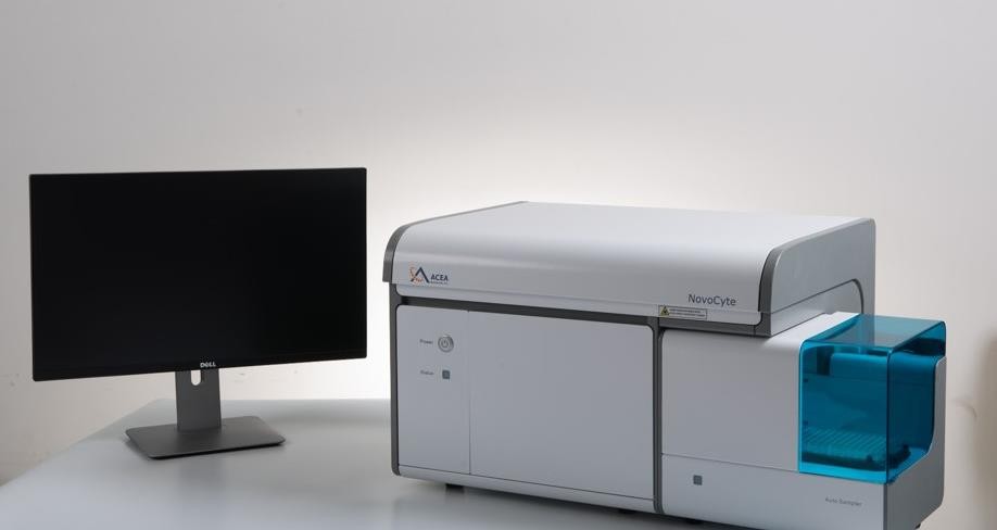 ��ʽ��(x��)���x