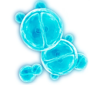 �������әz�yԇ����