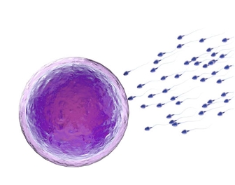 ���ӹ��ܙz�yԇ����