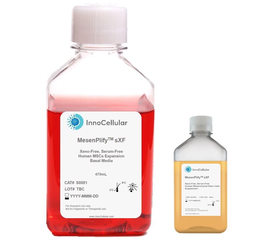 MesenPlify™ sXF�g���|(zh��)�ɼ�(x��)���U�����B(y��ng)��