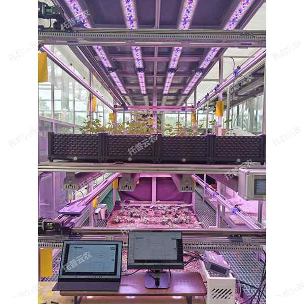 室內(nèi)種子萌發(fā)表型監(jiān)測系統(tǒng)