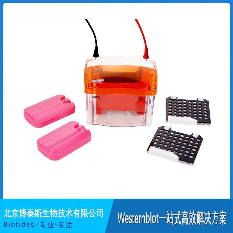 ��̩˹�D(zhu��n)ӡ�� 2�K�z �c����ͬ��