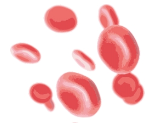 ѪС��z�yԇ����