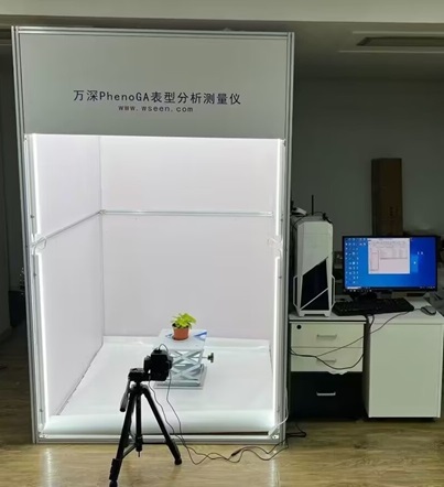 �f��PhenoGAֲ����ͷ����y���x