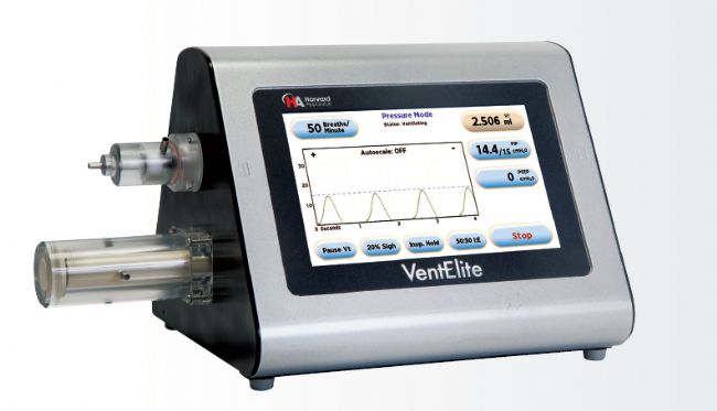 �f��: ventelite