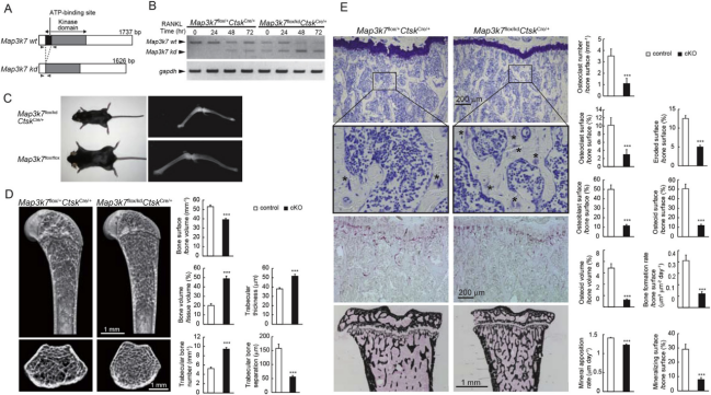�C(j��)�w�l(f��)���ϵK