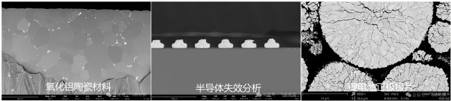 離子研磨儀處理后的掃描電鏡圖